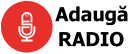 Radio romania fm - Bewundern Sie dem Favoriten der Experten